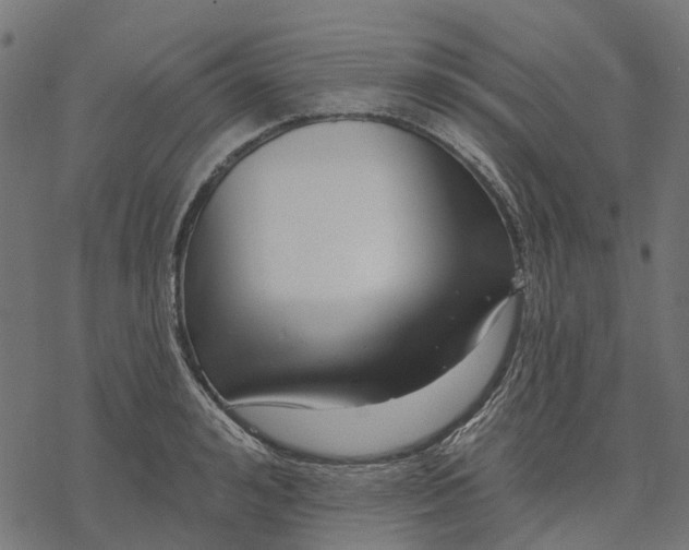 X0000077310992200611031636