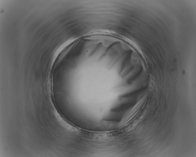 X0000077311003200611031636