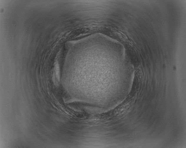 X0000077311009200611031635