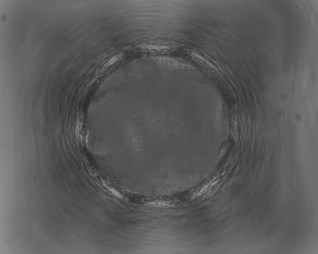 X0000077311010200611031635