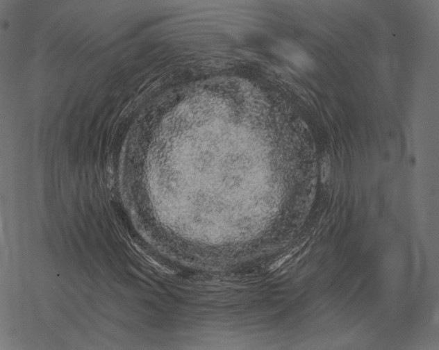 X0000077311011200611031635