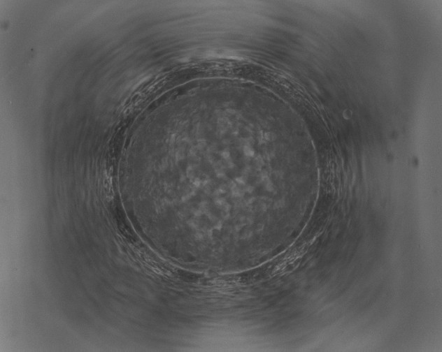X0000077311013200611031635