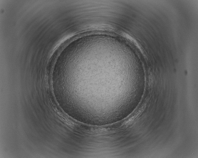 X0000077311019200611031635