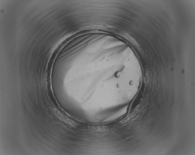 X0000077311020200611031635
