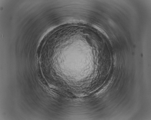 X0000077311021200611031635