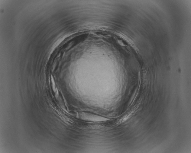 X0000077311023200611031635