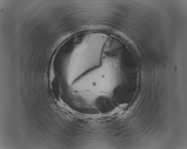 X0000077311025200611031635