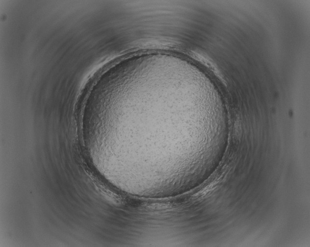 X0000077311027200611031635