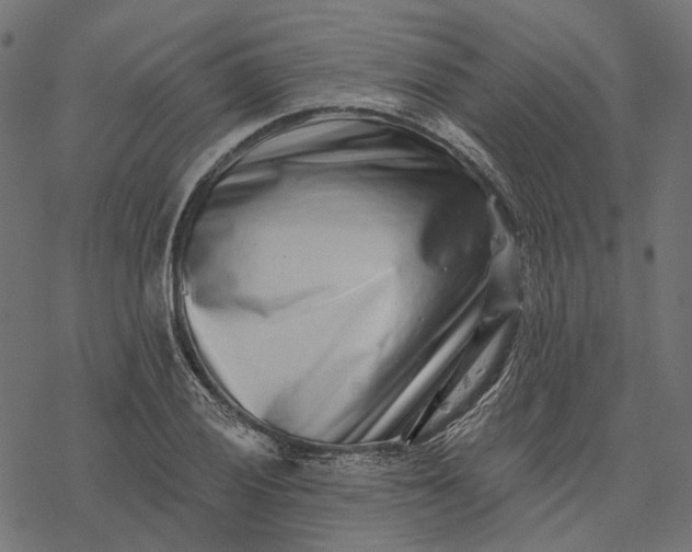 X0000077311028200611031635