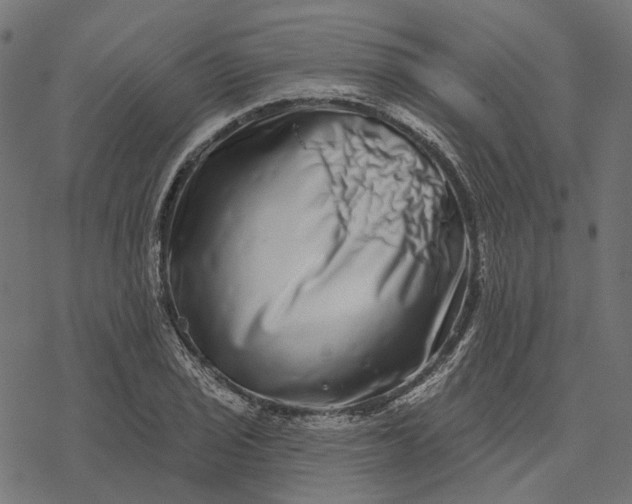 X0000077311029200611031635