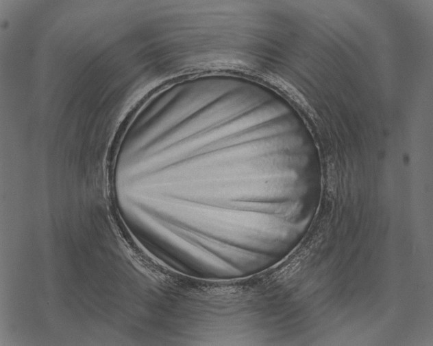 X0000077311031200611031635