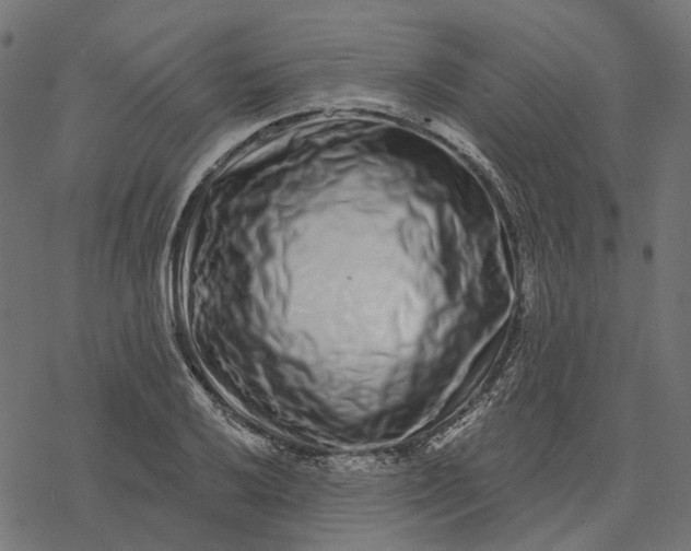 X0000077311032200611031635