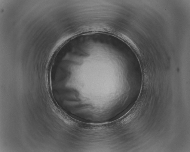 X0000077311035200611031635