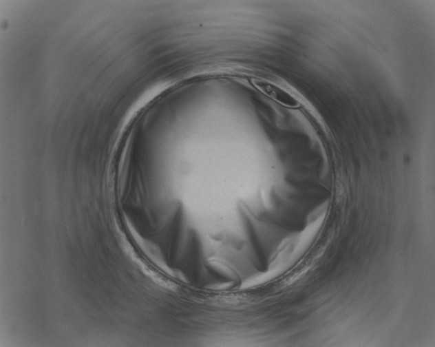 X0000077311053200611031636