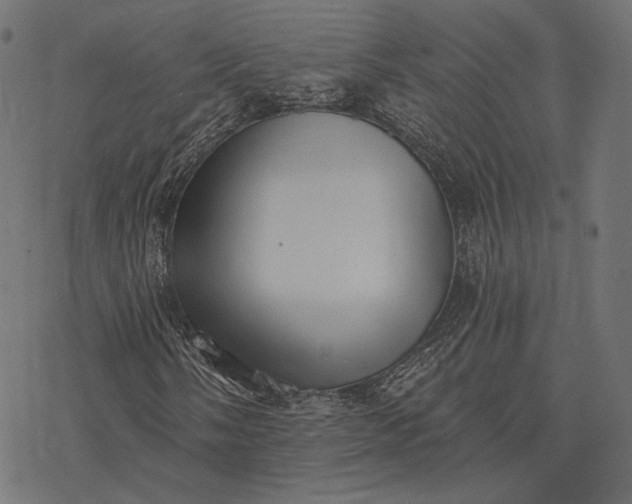 X0000077311058200611031635
