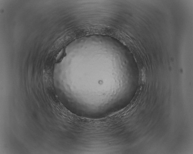 X0000077311059200611031635