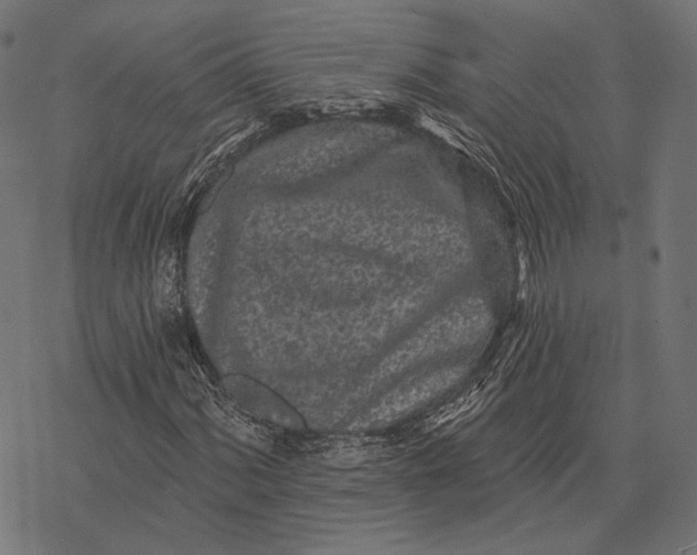 X0000077311060200611031635