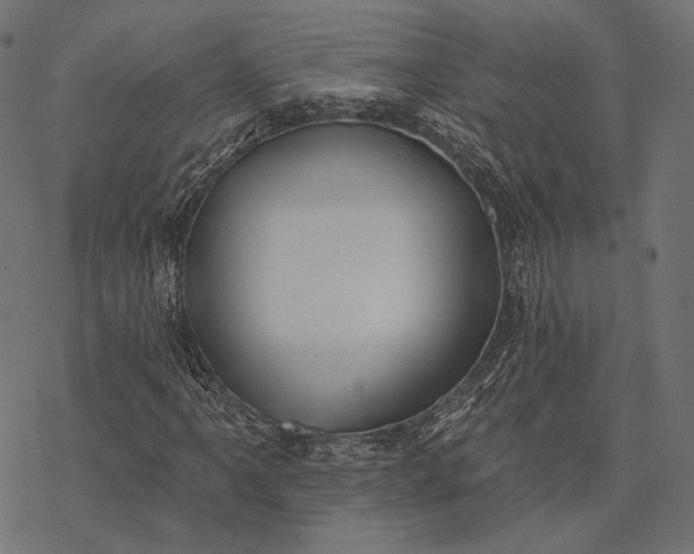 X0000077311061200611031635