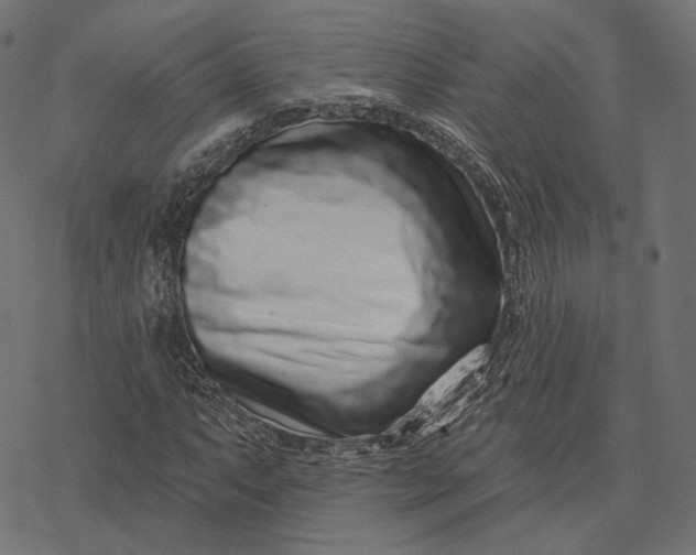 X0000077311063200611031635