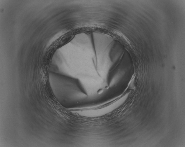 X0000077311064200611031635