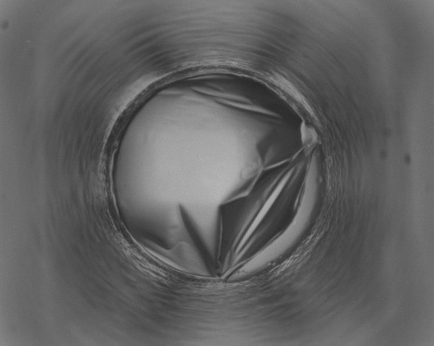 X0000077311068200611031635