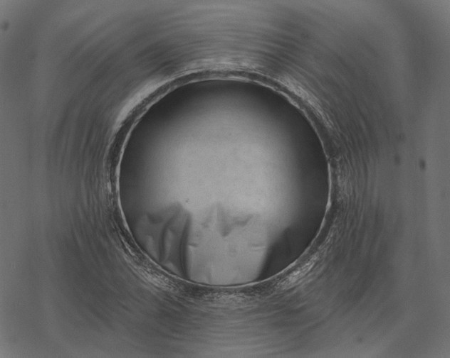 X0000077311070200611031635
