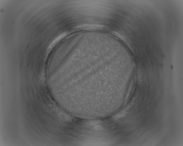 X0000077311074200611031634
