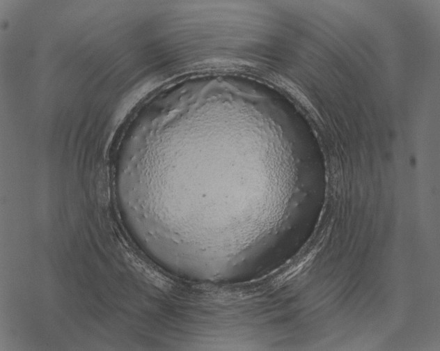 X0000077311075200611031634