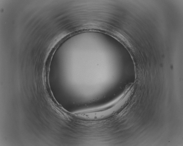 X0000077311076200611031634