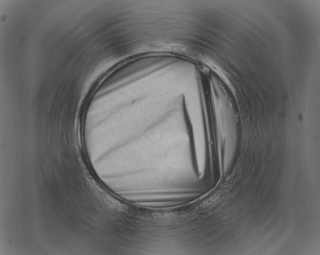 X0000077311080200611031634