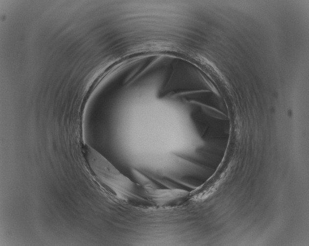 X0000077311081200611031634
