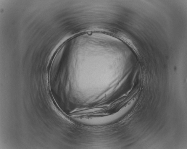 X0000077311092200611031634