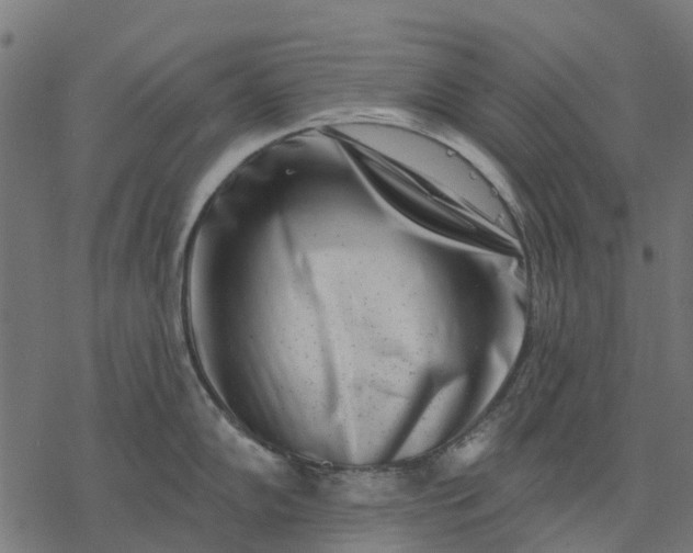 X0000077311102200611031634
