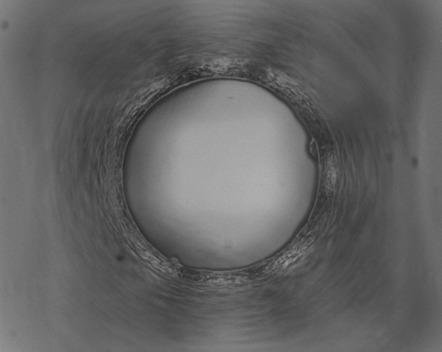 X0000077311105200611031633