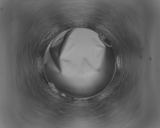 X0000077311107200611031633