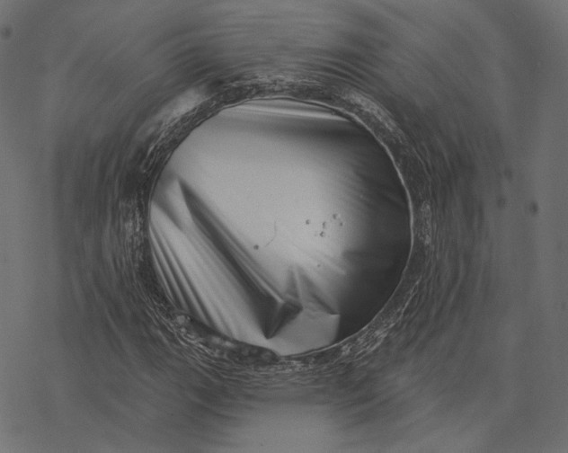X0000077311111200611031633