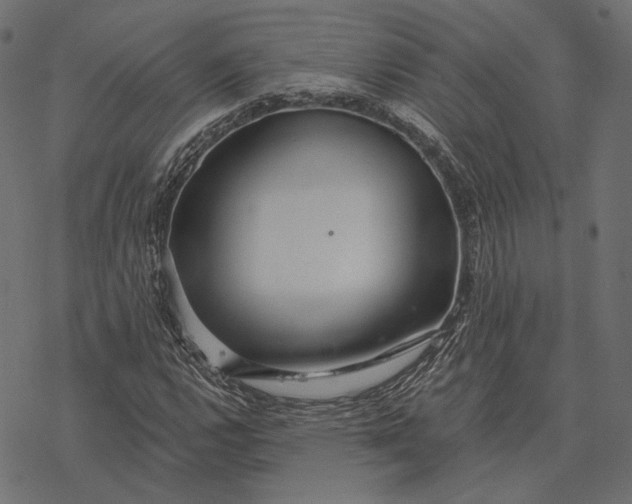 X0000077311112200611031633