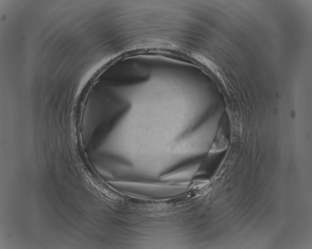 X0000077311120200611031633