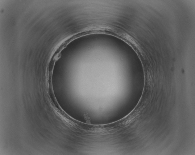 X0000077311124200611031634