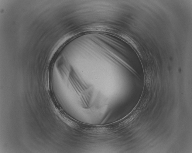 X0000077311131200611031634