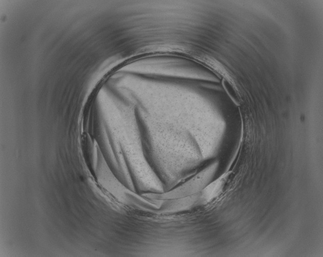 X0000077311132200611031634