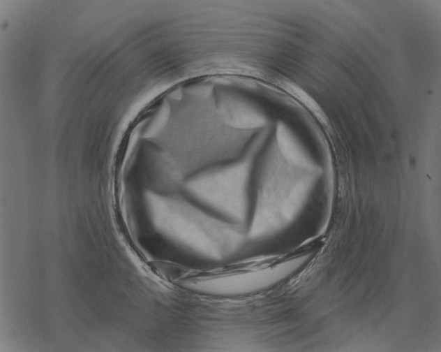 X0000077311144200611031634