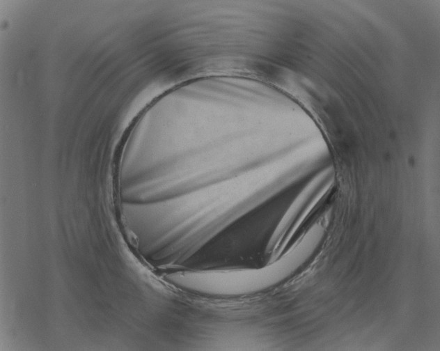 X0000077311147200611031634