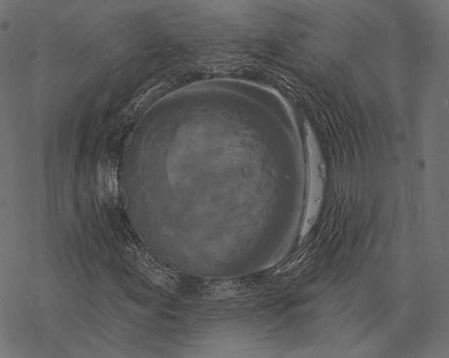 X0000077311155200611031633