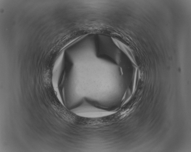 X0000077311156200611031633