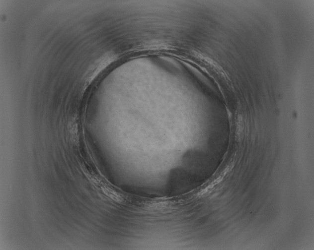 X0000077311162200611031633