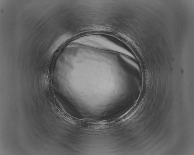 X0000077311163200611031633