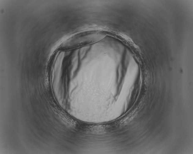 X0000077311167200611031633