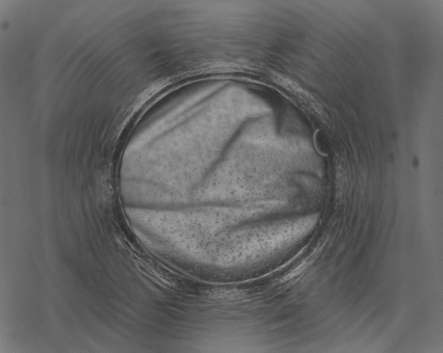 X0000077311170200611031633