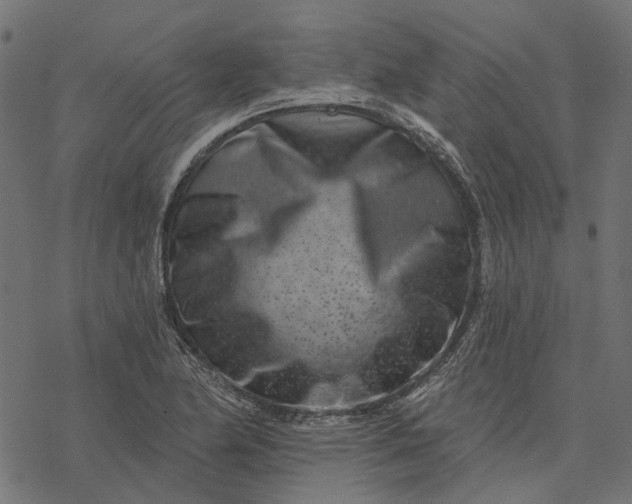 X0000077311174200611031633